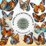 Natural Butterfly Clipart