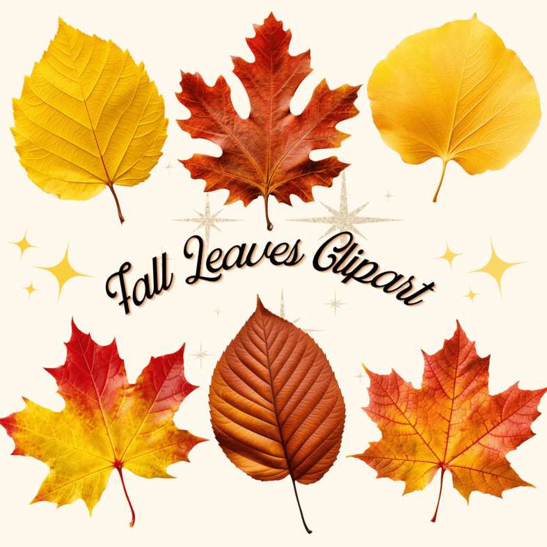 Fall leaves clipart, Autumn Fall Leaves, Autumn Leaves Clipart, 50 transparent png files, commercial license, scrapbooking, junk journal, crafts, collage, paper crafts, OSullivan Supply Co, OSCO