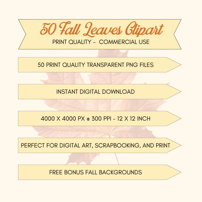 50 Fall Leaves Clipart, Fall Leaves Clip Art, 50 Print quality transparent PNG files, digital download, 12 x 12 inches @ 300 ppi, digital art, free bonus Fall backgrounds, OSullivan Supply Co, OSCO