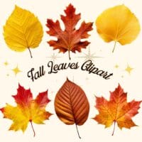 Fall Leaves Clipart on Etsy